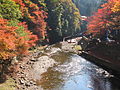 清滝川（京都・高雄）