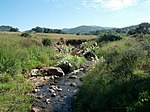 Klipriviersberg Nature Reserve