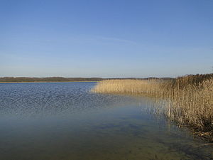 Kornhorst Massower See 2010-04-07 032.jpg