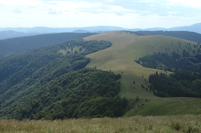 File:Kozí Chrbát, louka.jpg