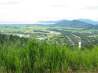 <span class="mw-page-title-main">Caravonica, Queensland</span> Suburb of Cairns, Queensland, Australia