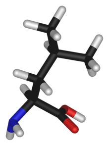 L-leucine-3D-sticks.png