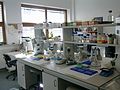 Taqîgeha Teknolojiya Biyolojiya Molekular li Fakulteya Biyolojiyê ya Zanîngeha Adam Mickiewicz li Poznan