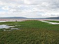 Lake Nakuru (7512954612).jpg
