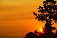 Lamington national park sunset Lamington national park sunset.jpg