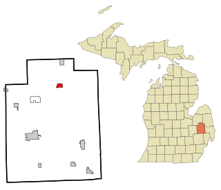 <span class="mw-page-title-main">North Branch, Michigan</span> Village in Michigan, United States