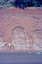 Laterite formation on serpentinite. Mayagüez, Puerto Rico