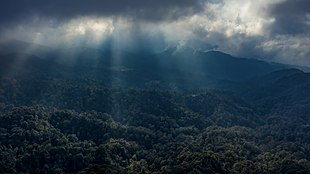 tourism pahang bukit fraser