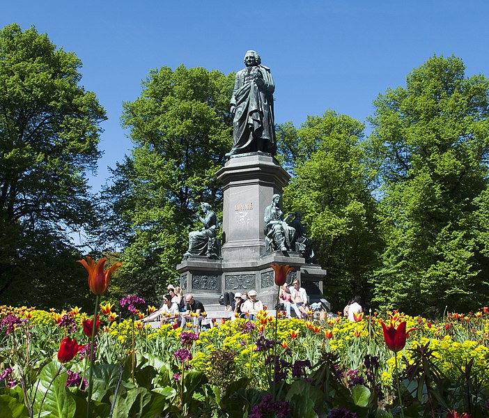 File:Linnémonumentet.jpg