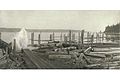 Logging activity showing log dump, Puget Sound vicinity, Washington, ca 1900 (HESTER 76).jpeg