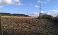 The field in which the Lower White Horse Stone had once stood.