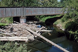 <span class="mw-page-title-main">Abiqua Creek</span> River in Oregon, United States of America