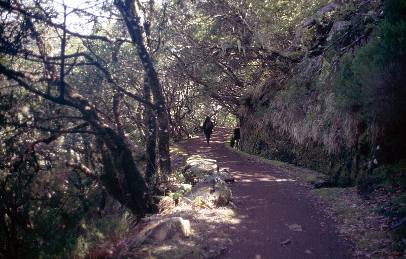 File:Madeira-24-Levada-2000-gje.jpg