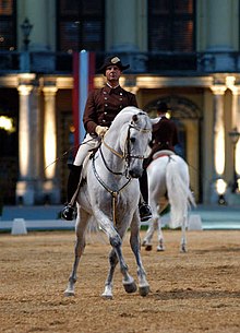 Um cavalo cinza e seu cavaleiro, equipados e vestidos em trajes de gala, executam uma prensa.