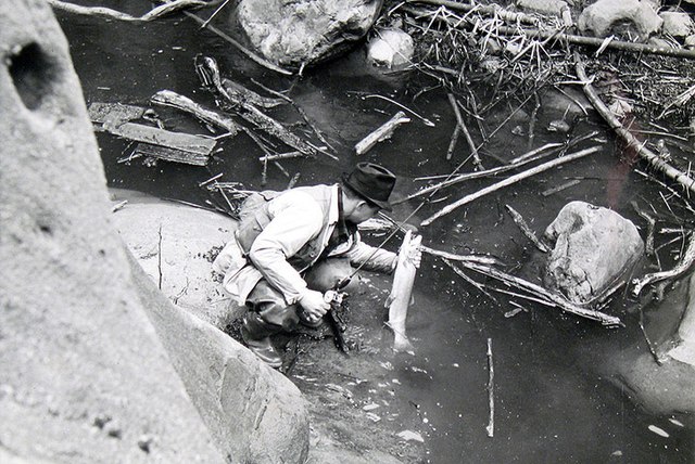 Malibu Creek Steelhead (c.1943)
