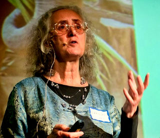 <span class="mw-page-title-main">Marilyn Mehlmann</span> Swedish environmentalist and educator