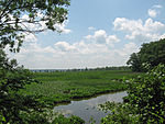 Elizabeth Hartwell Mason Neck National Wildlife Refuge