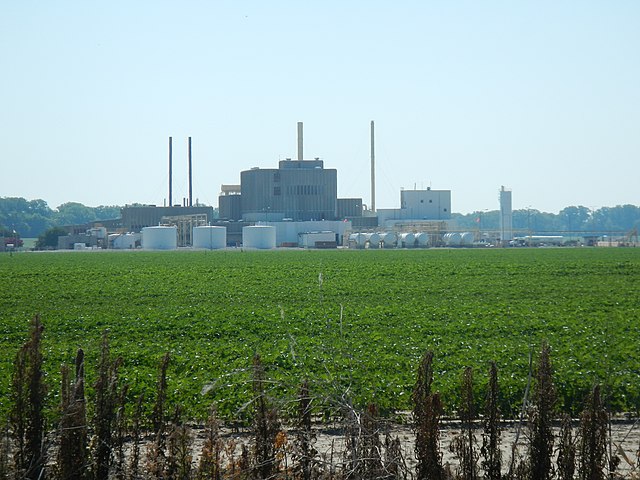 A steel plant rises behind a soybean field in Mississippi County