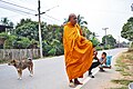 Monk asking for food in BanNanTonChan