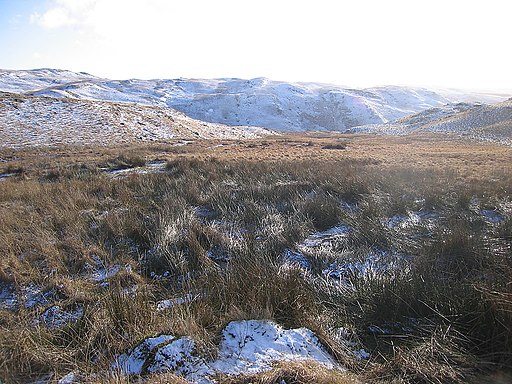 Moorland south of the Teifi pools - geograph.org.uk - 1706396