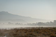 Morning fog in winter, Dhikala, Dec 2019 Morning Mist Dhikala Corbett Reserve Dec2019 R16 02285.jpg