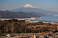 Fuji mendia, Suruga Badia eta Shizuoka.