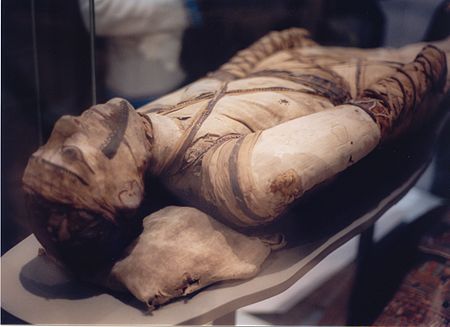 Tập_tin:Mummy_at_British_Museum.jpg