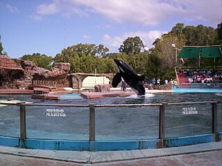 <span class="mw-page-title-main">Mundo Marino</span> Zoo in San Clemente del Tuyú, Argentina