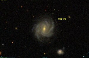 NGC 1262 SDSS.jpg