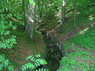 Nettelgraben at the Chorin monastery (cut through to the Ragöse, probably from the 15th century)