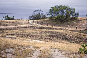 Nida Parnadžio kopa (Lithuania–Russia border) - panoramio.jpg