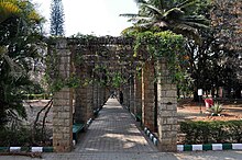 File:Nimhans_garden_0.jpg