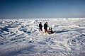 North Pole, Arctic Ocean, sea ice 01.jpg