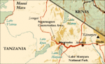 Miniatura para Ngorongoro