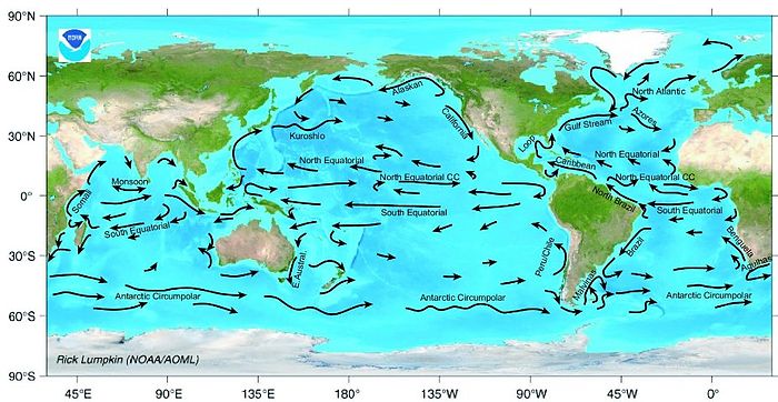 海流 北 大西洋 北大西洋海流