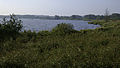 Oeverlanden van het Zuidlaardermeer langs de Oostpolder