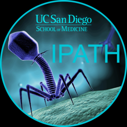 Logo رسمی IPATH.png