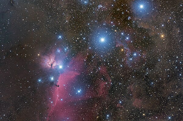 Orion's Belt and nebulosity, including the Flame Nebula (left) and Horsehead Nebula (lower left) named after a relatively small dark cloud, rotated 90