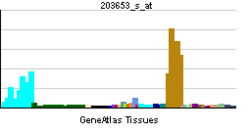 PBB GE VOLVAĴO 203653 s ĉe tn.png