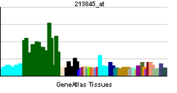 PBB GE GRIK2 213845 ĉe tn.png