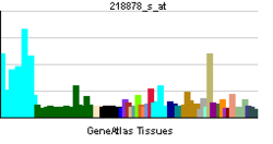 PBB GE SIRT1 218878 s ĉe tn.png