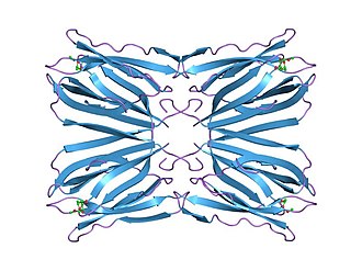 PDB 1tp8 EBI.jpg