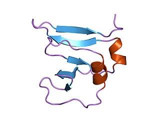 <span class="mw-page-title-main">Type I topoisomerase</span>