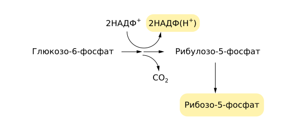 Рибозо 5 фосфат