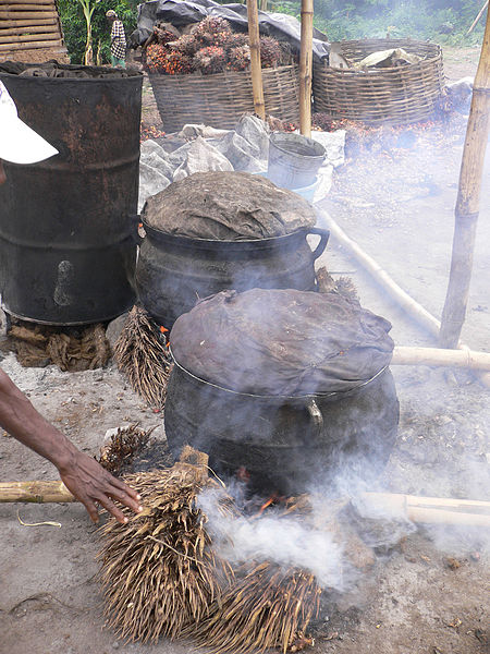 File:Palm oil production in Jukwa Village, Ghana-01.jpg