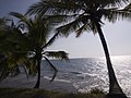Panama Pacific Coast near Portobelo (3776823201).jpg