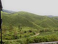 Thumbnail for File:Panoramic view at Sungei Palas BOH Tea Centre, Cameron Highlands.jpg