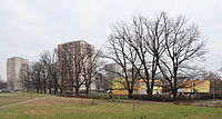 Pardubice, skupina památných dubů 104773, sídliště Závodu míru.
