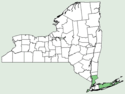 Paspalum laeve NY-dist-map.png