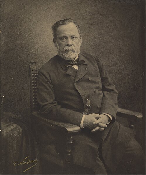 File:Paul Nadar (French - (Louis Pasteur) - Google Art Project.jpg